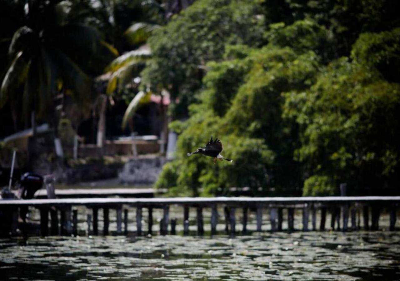Lagoon Special Suite: Bikes & Kayaks! Bacalar Eksteriør billede